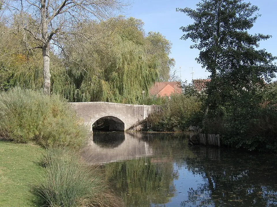 Bionne