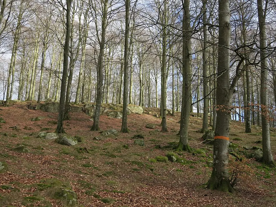 Göingeåsen