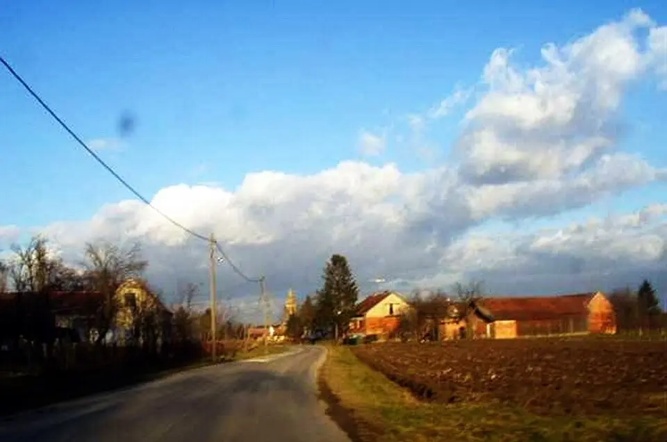 Bolč