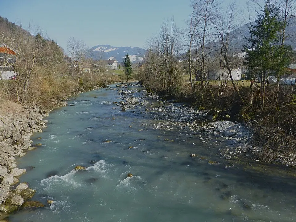 Bolgenach