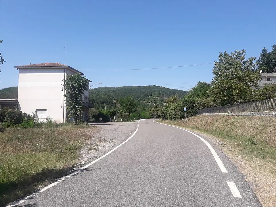 Boli