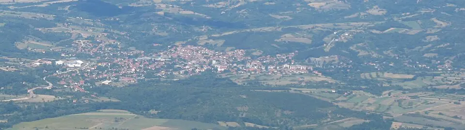 Opština Boljevac