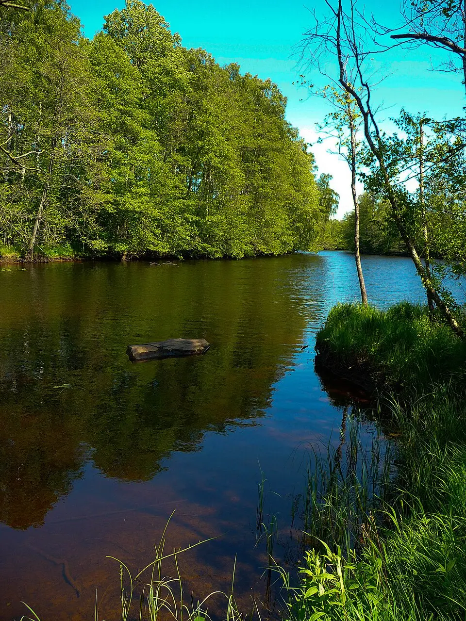 Bolmån