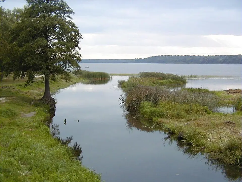 Bolupe