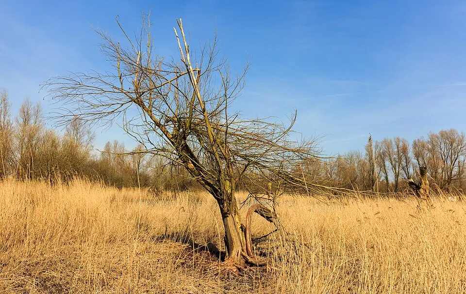 Nationalpark Nieuw Land
