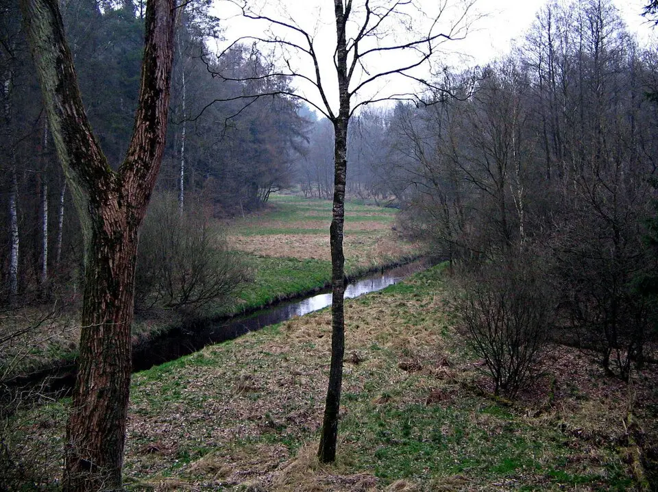 Bomlitz