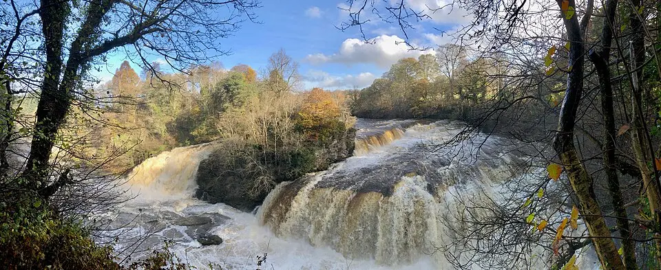 Bonnington Linn