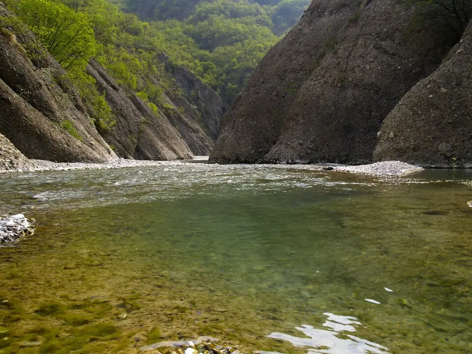 Borbera