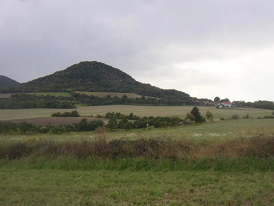 Boreč