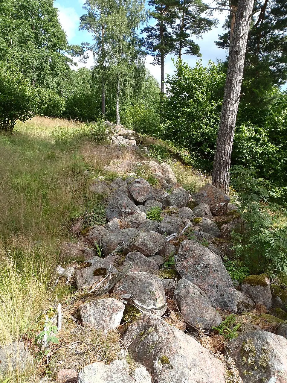 Borgbodan linnavuori