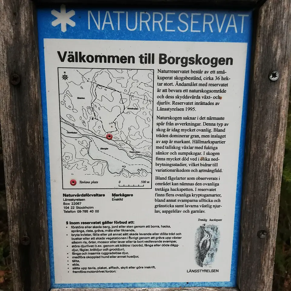 Borgskogen
