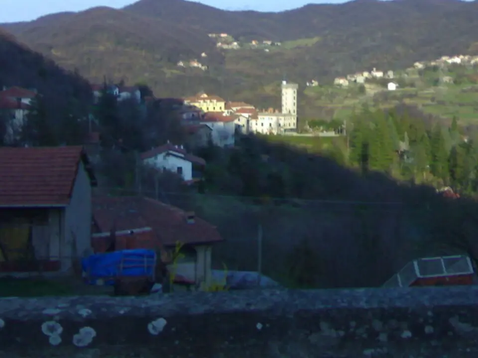 Borlasca