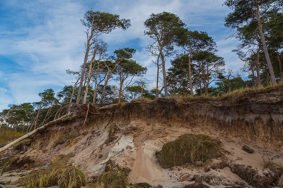 Nationalpark Vorpommersche Boddenlandschaft