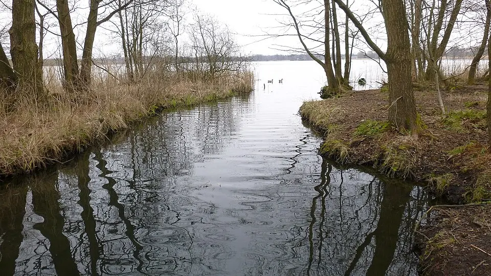Bornhöveder See