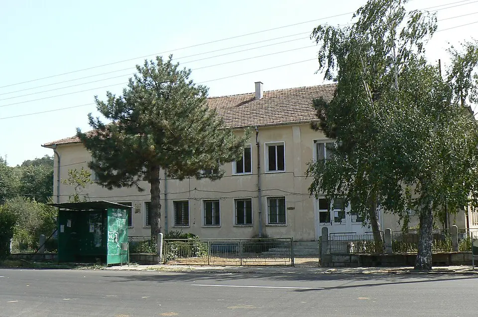 Боровица