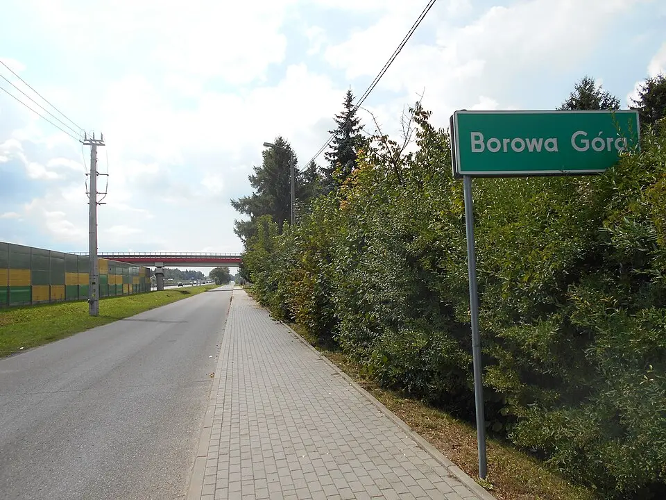 Borowa Góra