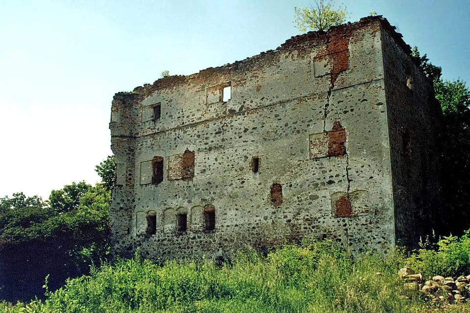 Ruiny zamku w Borowie Polskim