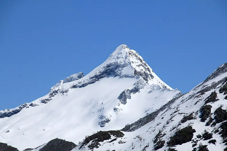 Bortelhorn