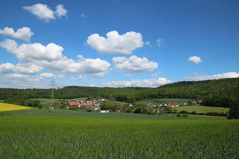 Bortshausen