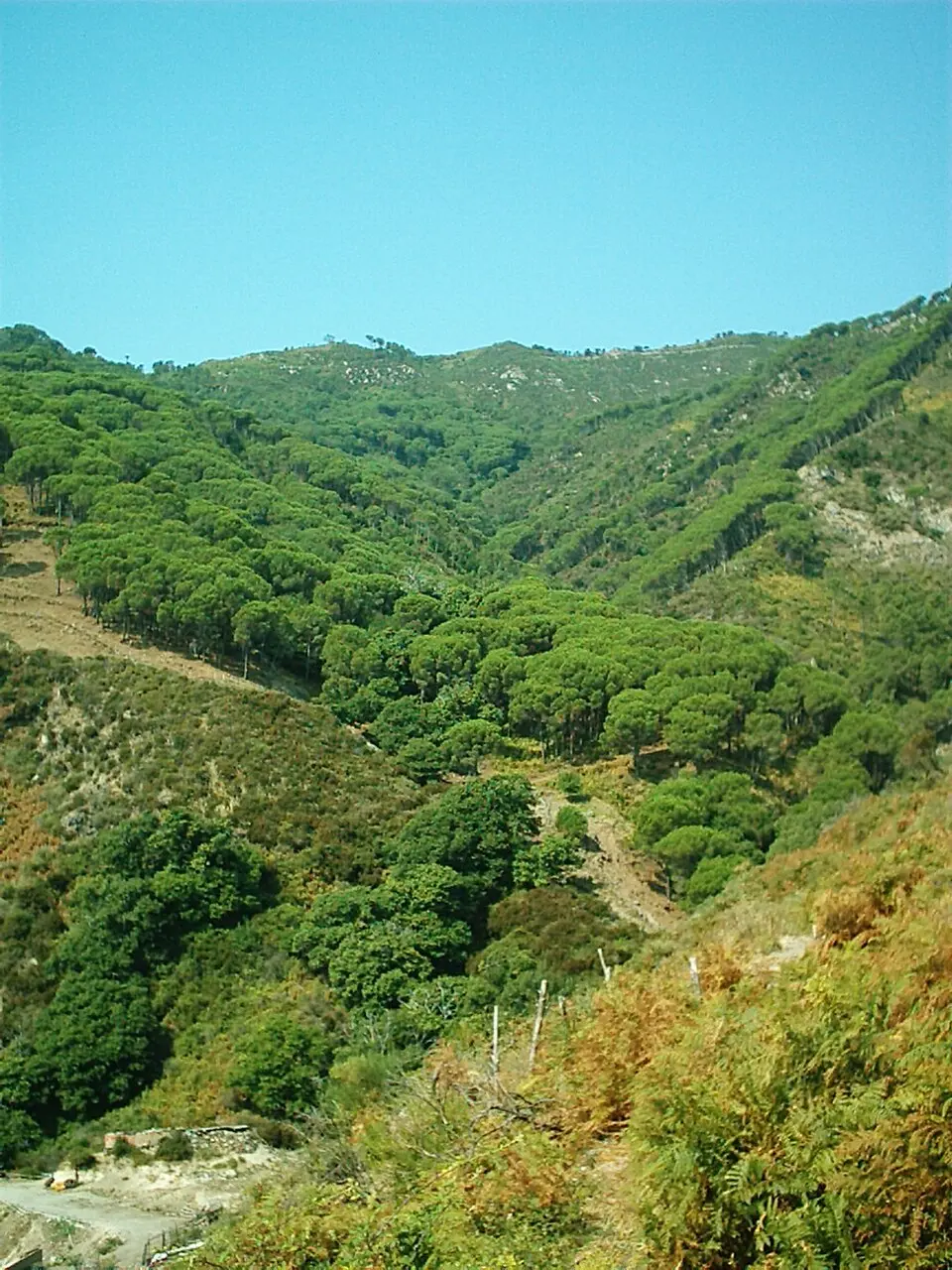 Monti Peloritani
