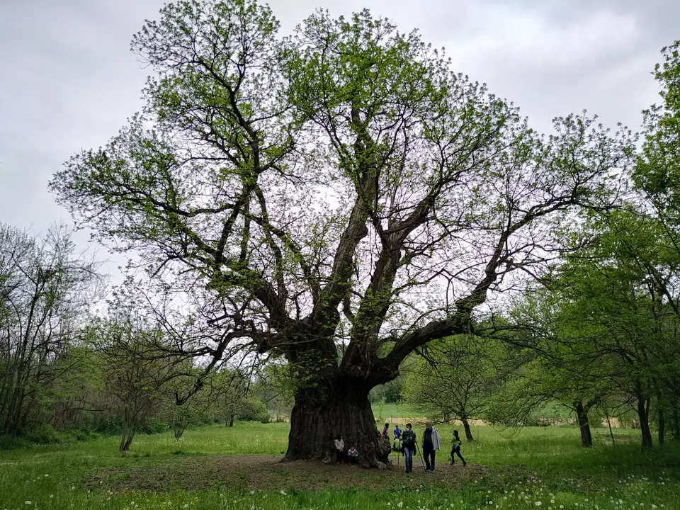 Zona naturale di salvaguardia dei Boschi e delle Rocche del Roero