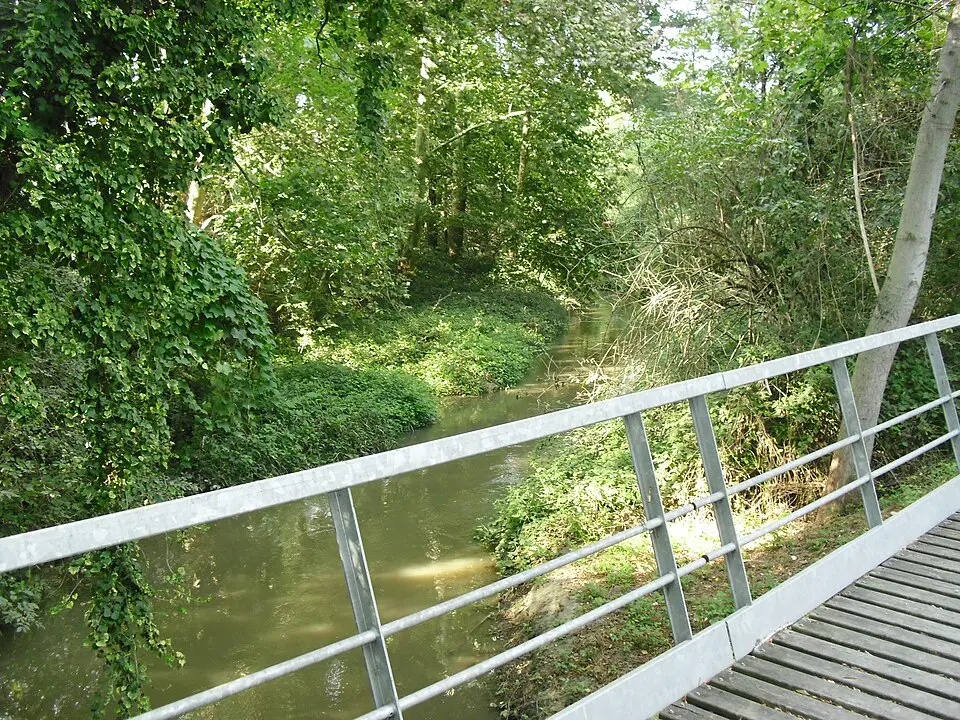 Bosco del Lusignolo