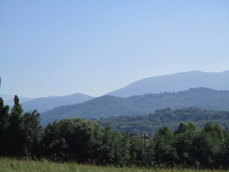 Bosco di Sesera