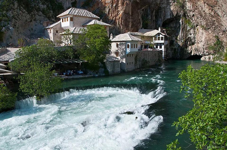 Image: CJ · CC BY 2.0 Tekija na Buni