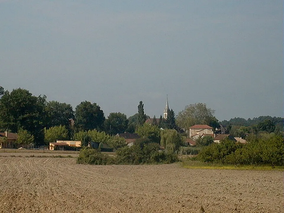 Bosset