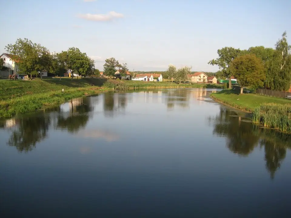 Bosut