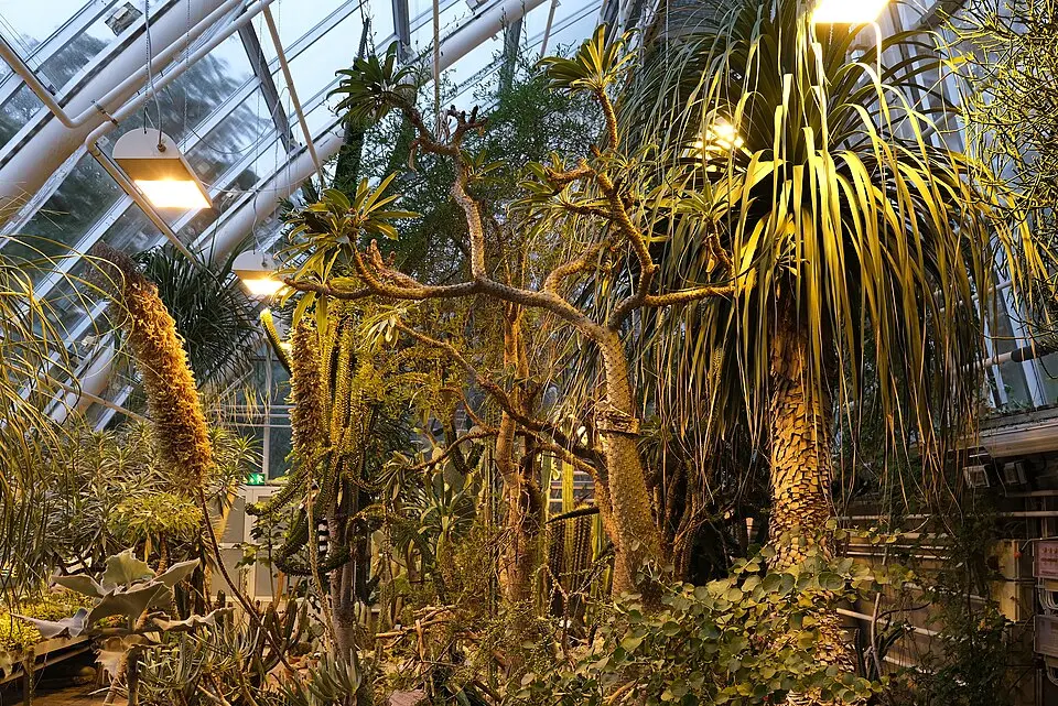 jardin botanique de l'université de Turku
