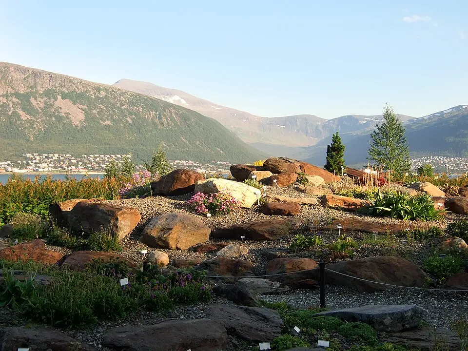Tromsø arktisk-alpine botaniske hage