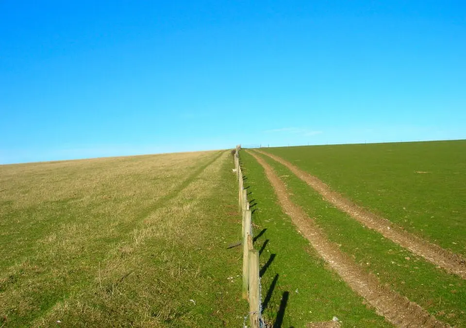 Mid Sussex