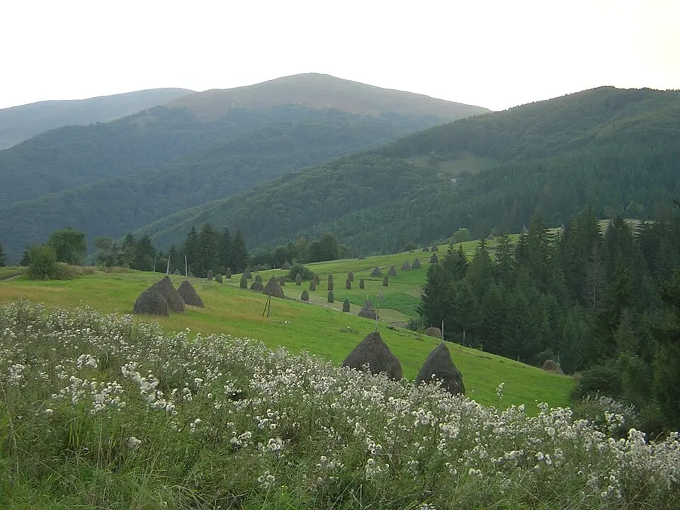 Beskidi