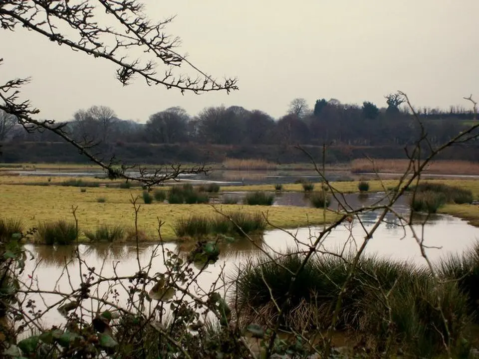 Bowling Green Marsh RSPB reserve