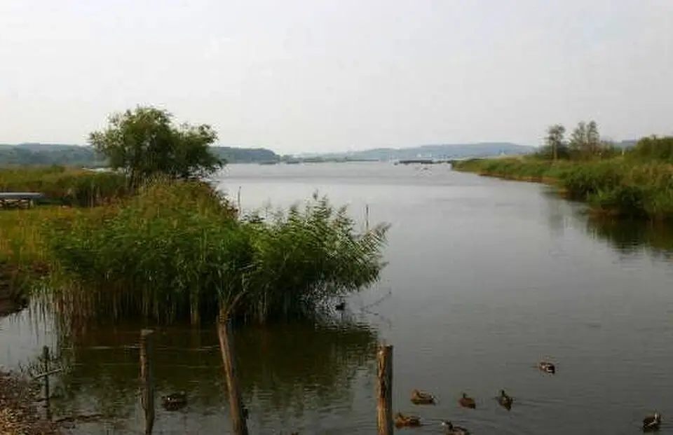 Brabrand Sø