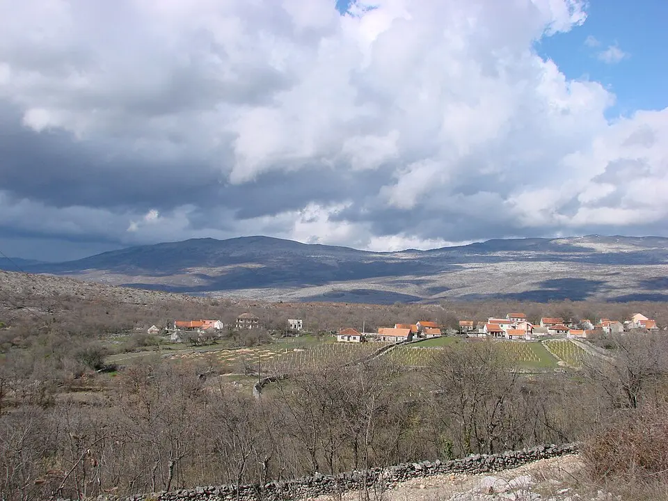 Bračević