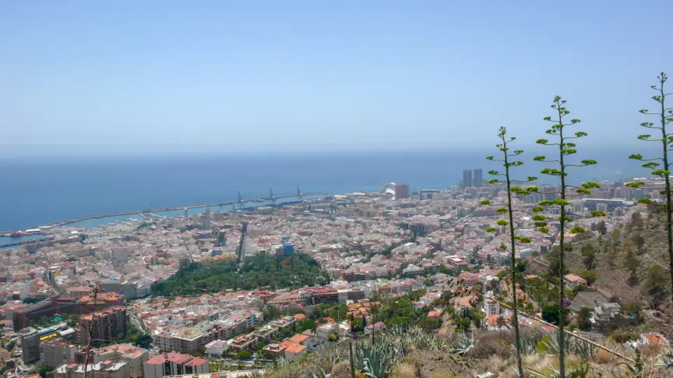 Image: Mataparda · CC BY 3.0 Santa Cruz de Ténérife