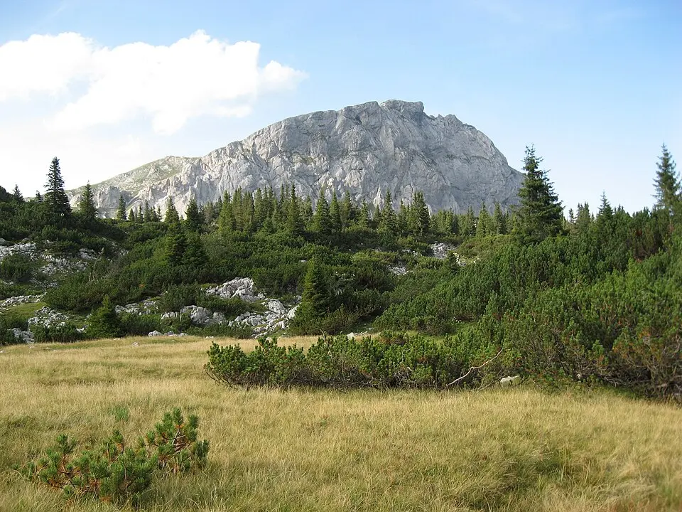 Brandstein
