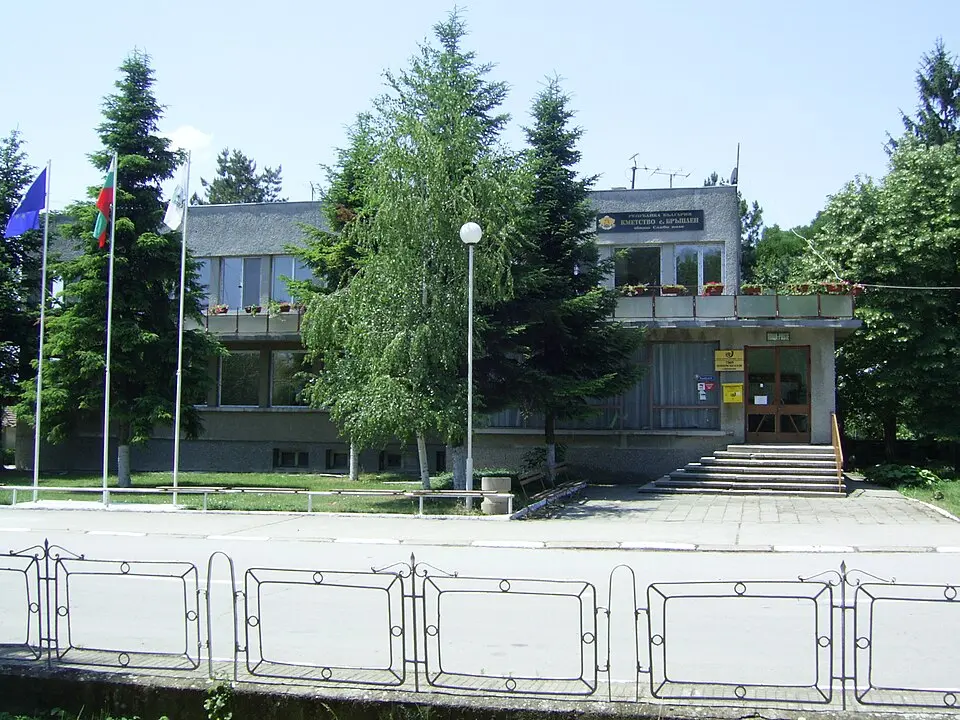 Бръшлен