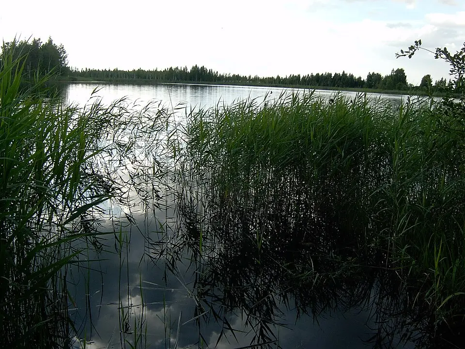 Абакрытэлі
