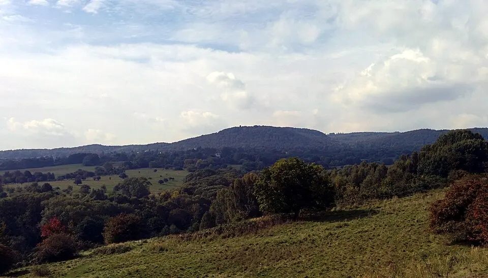 Brasselsberg (Habichtswald)