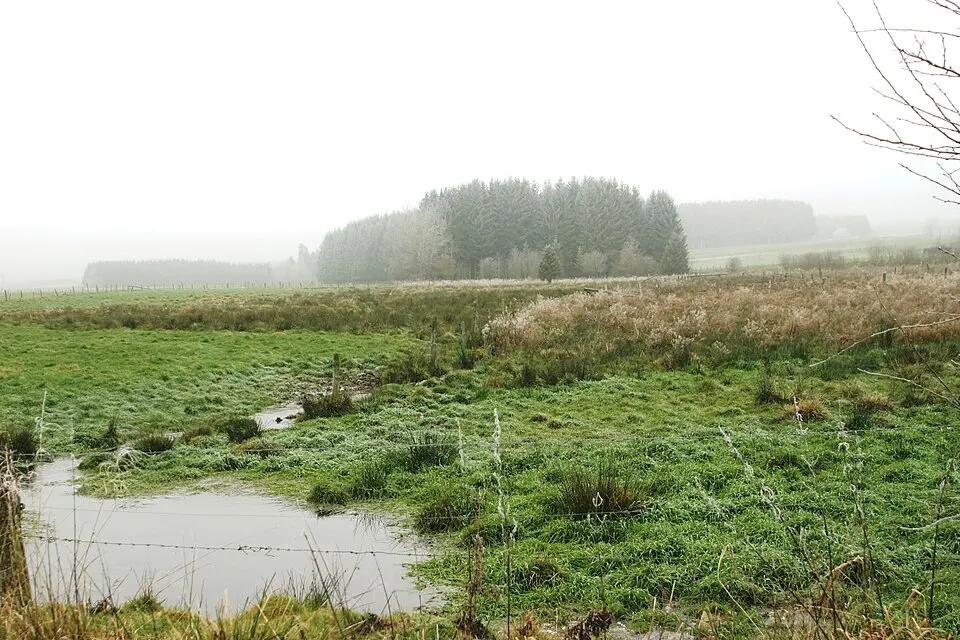Braunlauf (ruisseau)