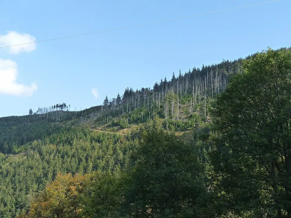 Brézouard