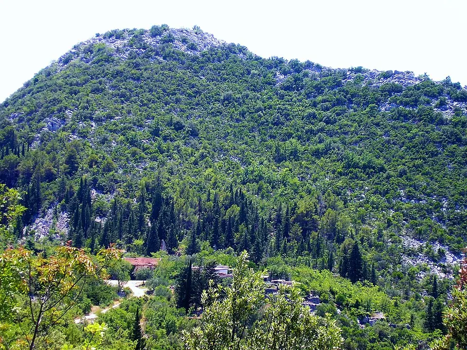 Brečići