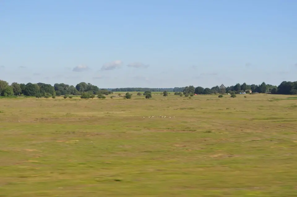 Breckland