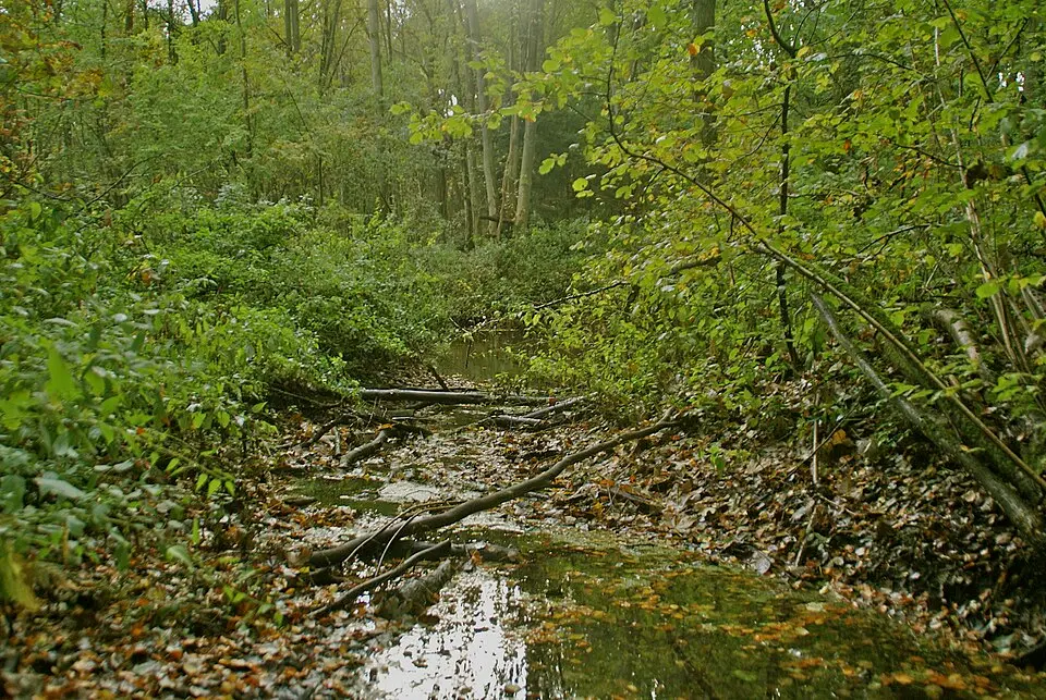 Bredenbek