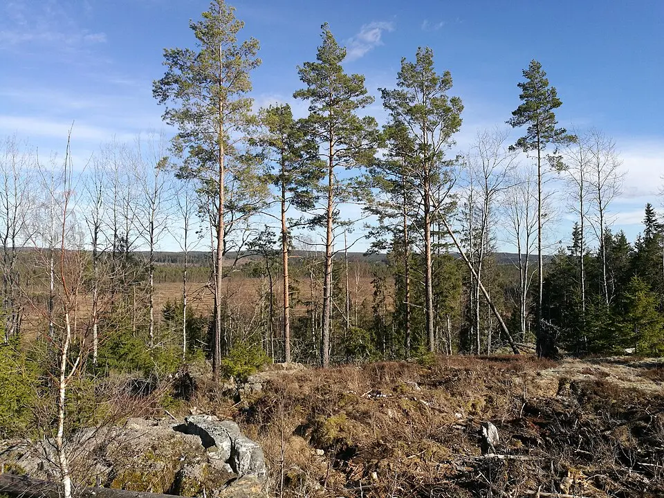 Bredmosen naturreservat