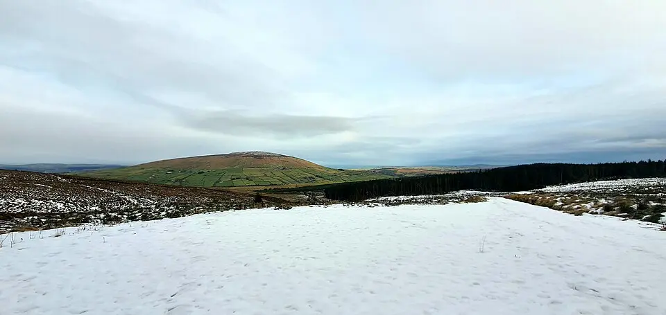 Breen Oakwood Nature Reserve