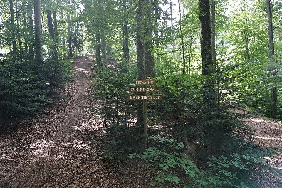 Am brennten Buck